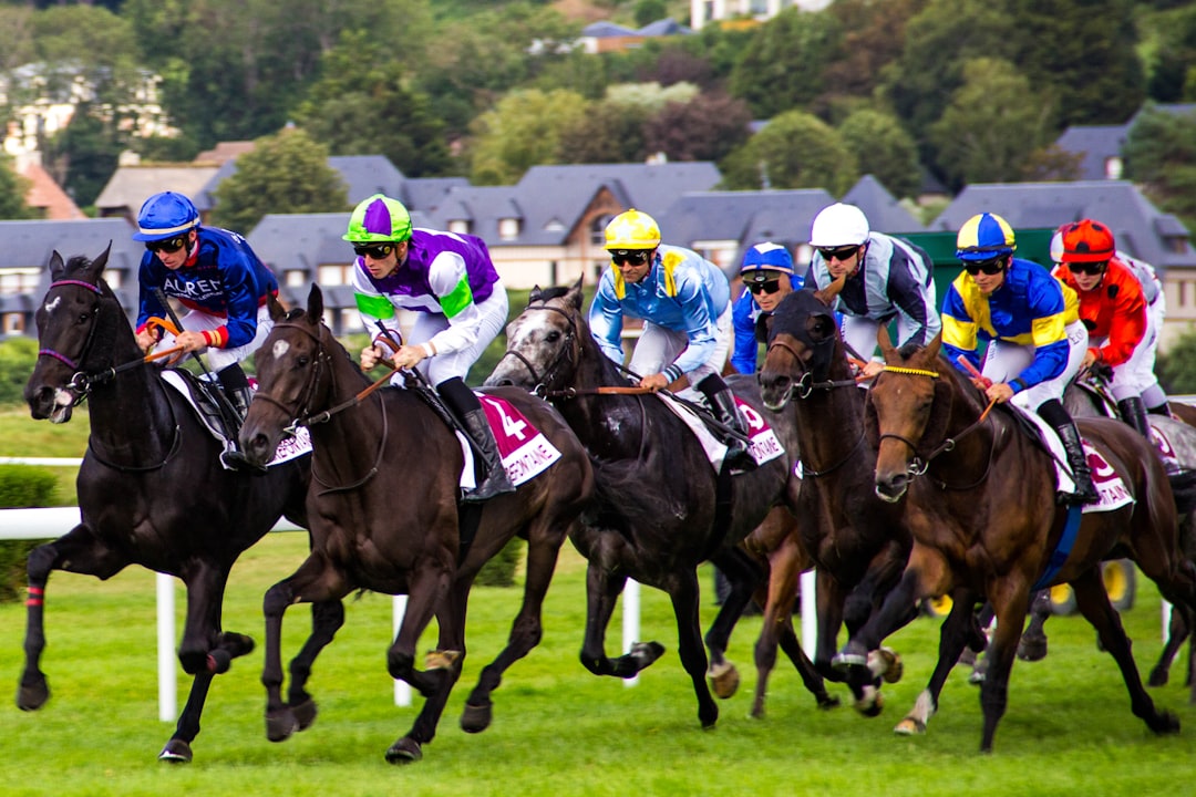 Photo horse racing